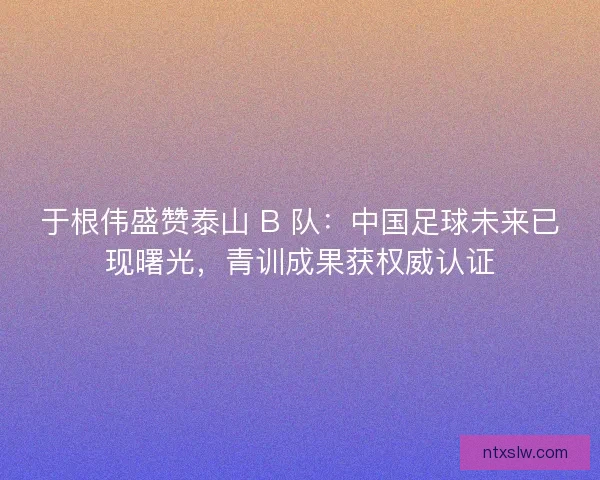 于根伟盛赞泰山 B 队：中国足球未来已现曙光，青训成果获权威认证